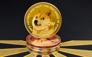 BIAN扩大对狗狗币的支持，DOGE价格将上涨至 0.1 美元？