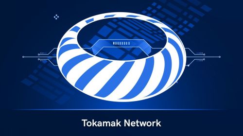 什么是Tokamak Network(TON)币-第1张图片-欧易下载